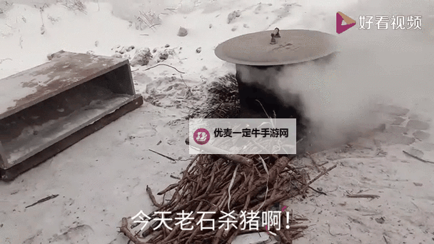 小猪第一次见到雪太兴奋，快乐跳跃迎接白色世界图1