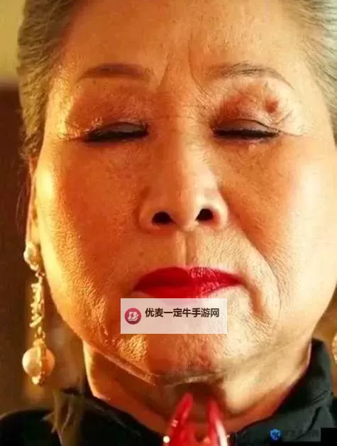 温馨回忆：祖母与CHEAPWINDOWSVPS的温情时光图1