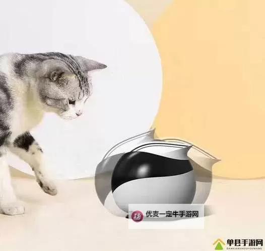 全面解析ZoomServo兽配：技术原理与应用前景图1