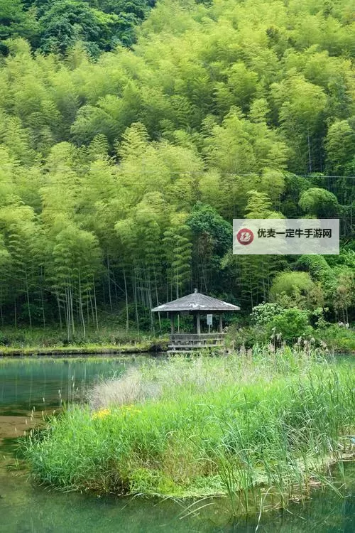 如何轻松观看优衣库试衣间视频，掌握最新试衣体验图1