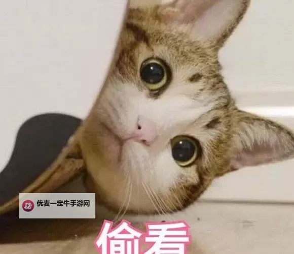 只可以晚上偷偷看的东西：夜幕下的神秘秘密图1