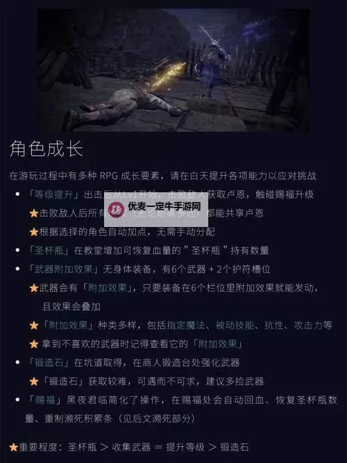 《艾尔登法环黑夜君临》通关流程与落地发育思路分享图1