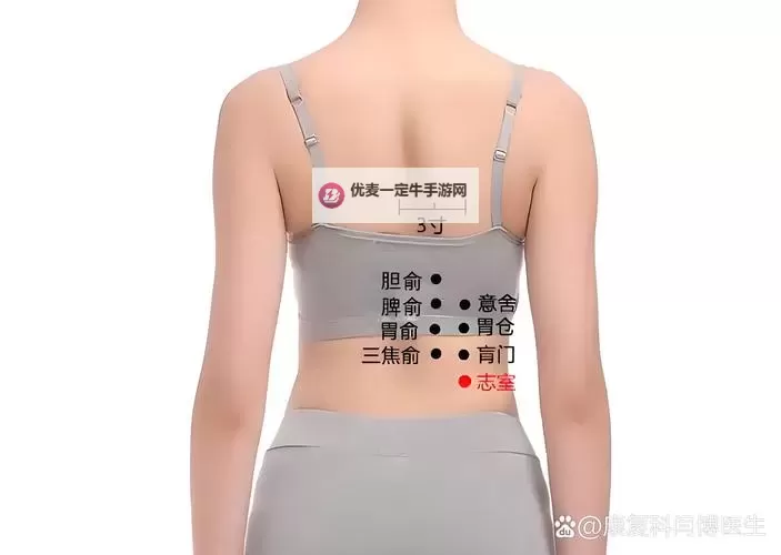 解密干明星穴穴一区：养生与调理的关键区域图1