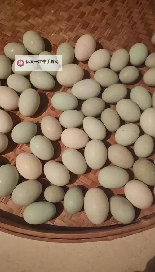 掌握技巧：怎样玩好自己的蛋的终极指南图1