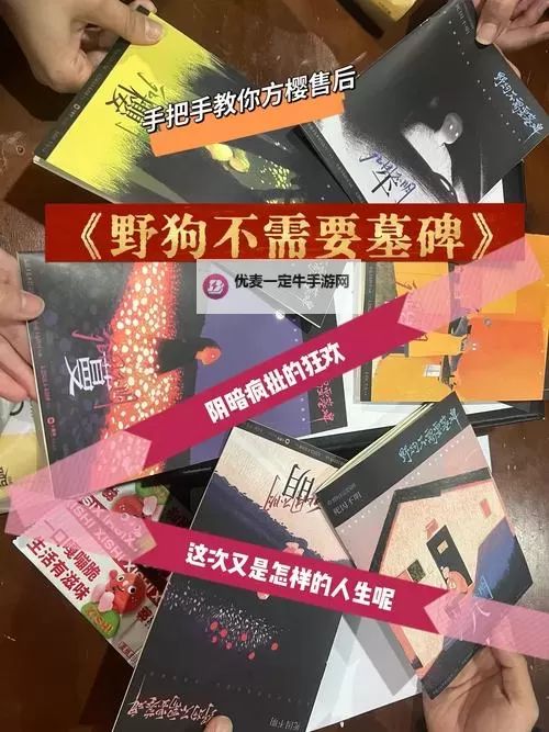 《野狗子》背景故事介绍及玩法解析图1
