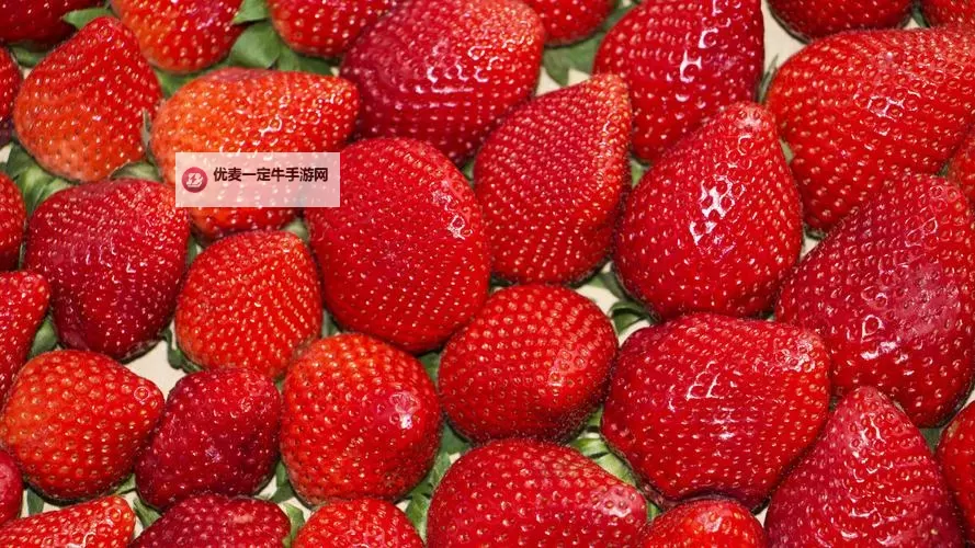 探索美味新境界：草莓8X8X8X的甜蜜奇迹图1