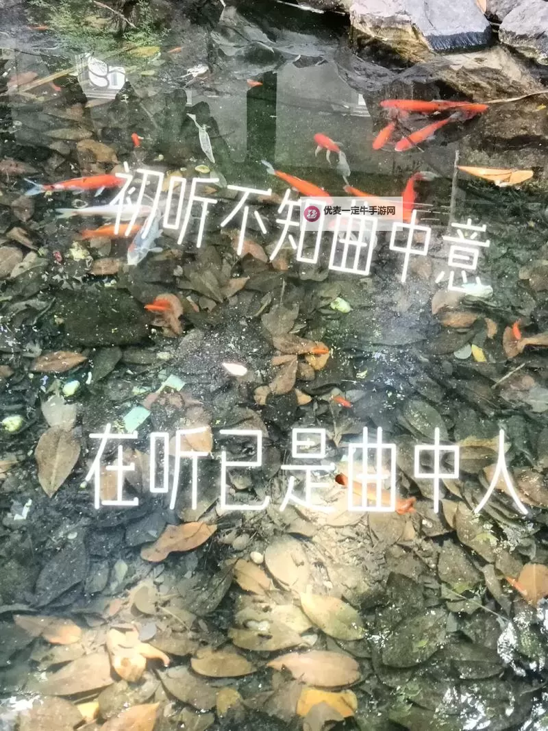 一木道免费体验活动即将开启，敬请期待！图1