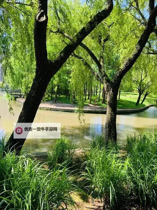 如何解决中文字幕乱码在线人视频问题攻略图2