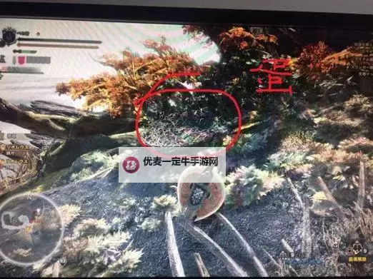 《怪物猎人荒野》刺枪翼龙地图位置及掉落素材介绍 刺枪翼龙在哪图1
