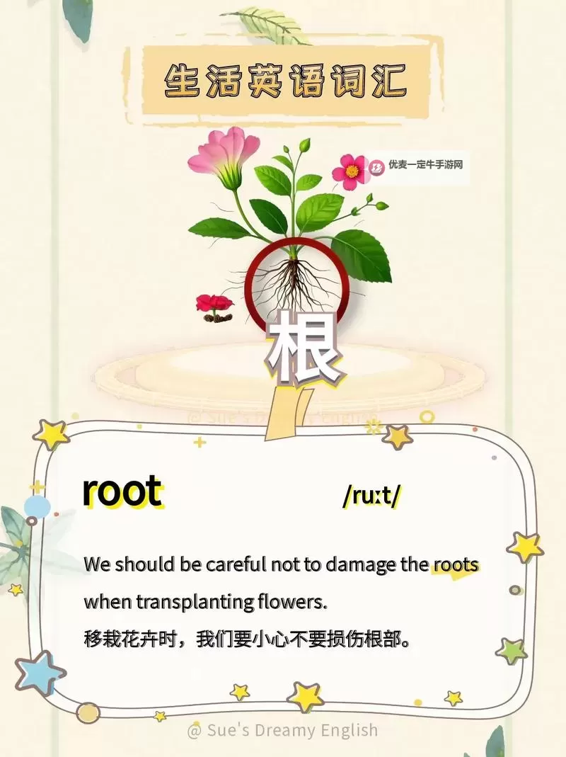 优雅奇趣：坐在学长的根茎上背单词的独特学习体验图1