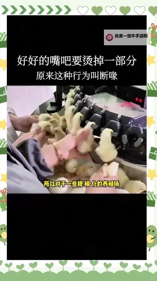 用嘴巴吃鸡有什么好处和坏处呢：全面解析饮食方式的影响图1