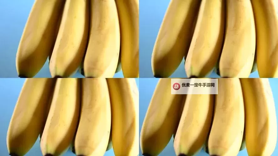 探索精彩内容尽在www.香蕉视频：你的理想视频平台图1