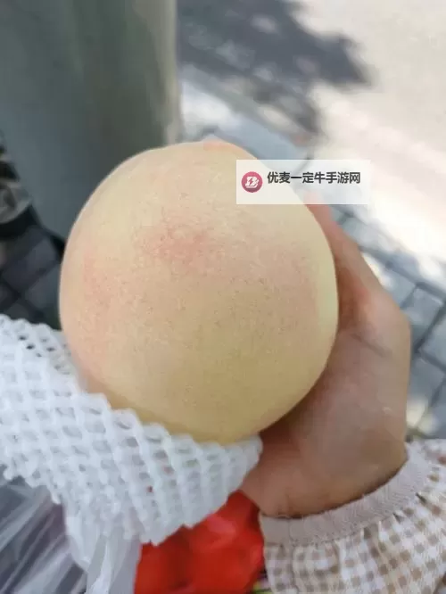 揭秘345巨无霸水蜜桃：夏日最IN的甜蜜享受图1