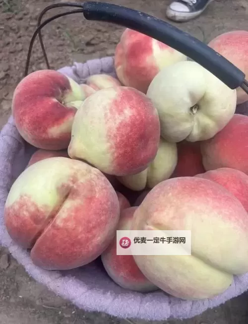体验最火的美味盛宴：最新97ai蜜桃全攻略图1