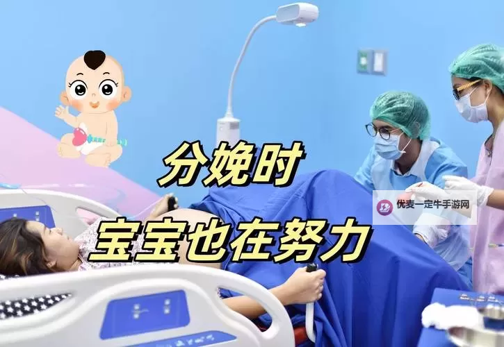 打造亲密互动平台：男女共同努力生孩子视频网站促家庭和谐图1