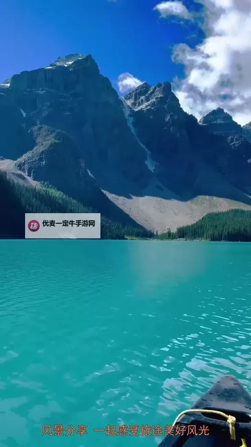四叶草研究所高清无码：探索极致清晰的视觉盛宴图1