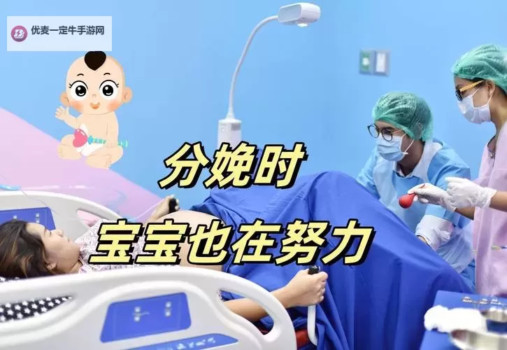 男女生一起努力生孩子软件：助力家庭实现梦想的创新方案图1