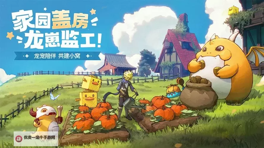 《龙骑士学园》新手攻略：宠物伙伴系统详解！图1