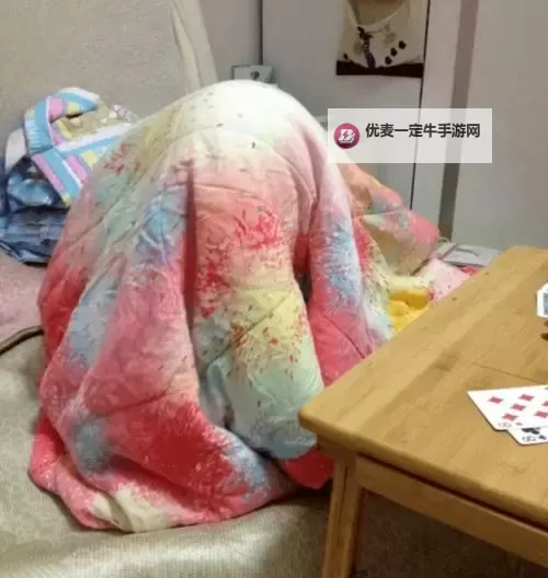 打扑克不盖被子免费视频：轻松夜晚的休闲时光图1