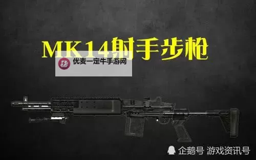 《绝地求生大逃杀》MK14与M14枪械对比图1