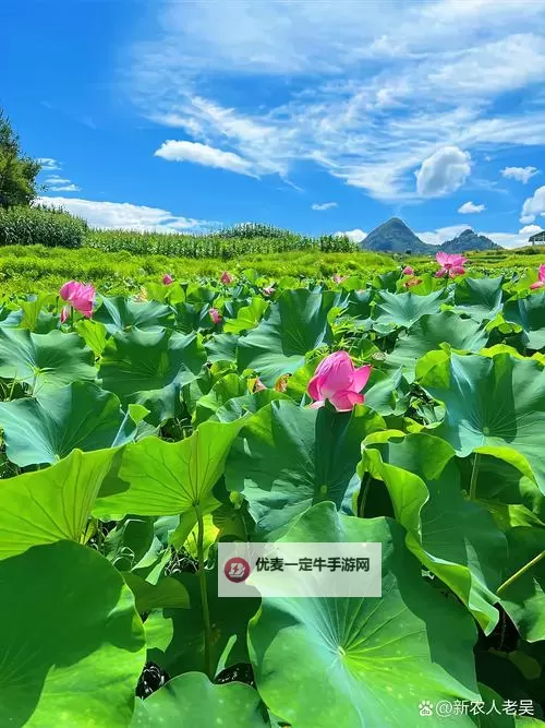 黑暗之魂2 熔铁城火路铁箱与尸体宝物拿法详解图1