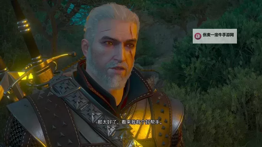 《巫师3》白狼无敌BUG触发方法 无敌BUG怎么触发图1