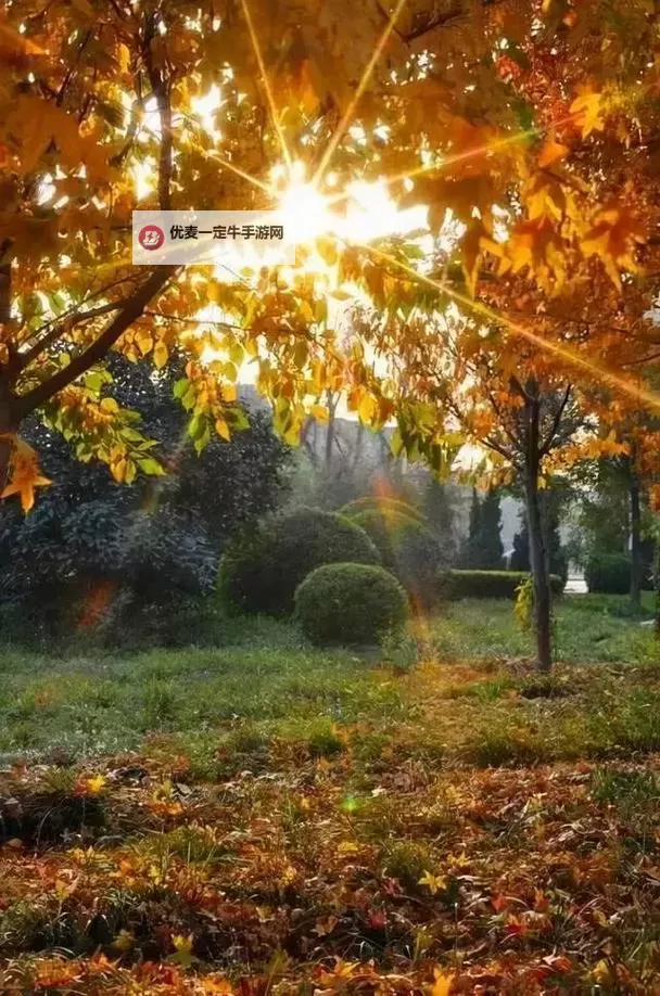 《勇者斗恶龙英雄2》小金币获得方法及兑换道具一览 小金币怎么获得图1