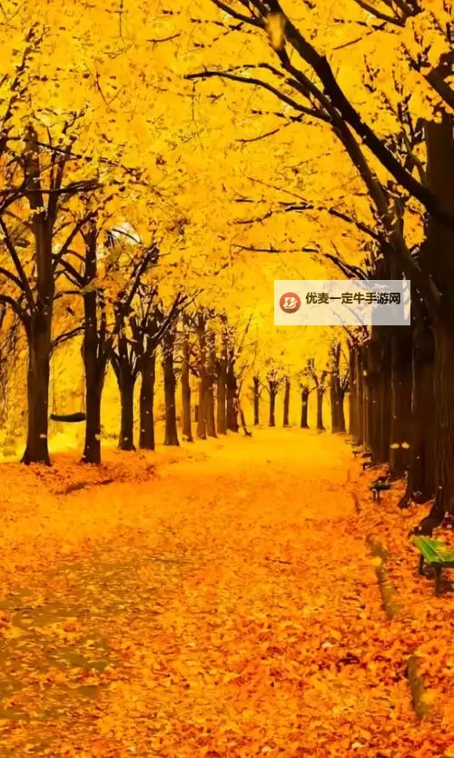 《勇者斗恶龙英雄2》小金币获得方法及兑换道具一览 小金币怎么获得图2