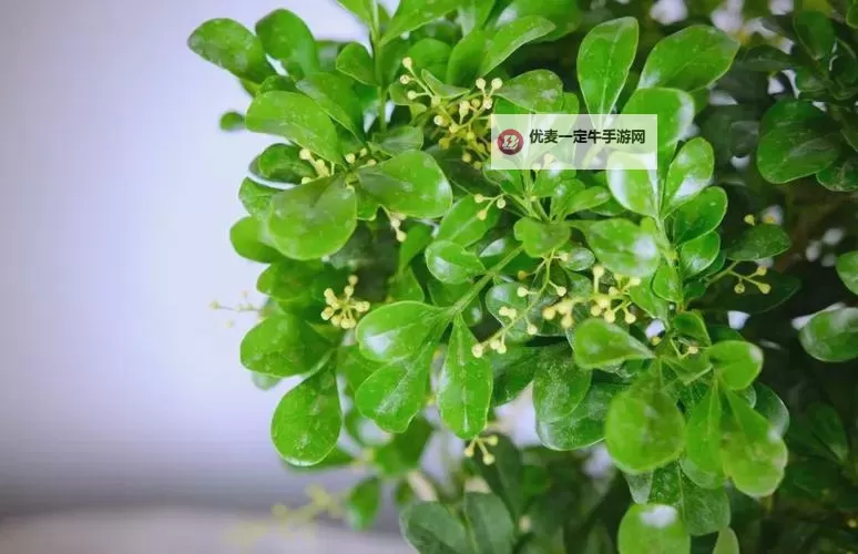 探索未来体验：深度解析KXK蓝色网站的独特魅力图1