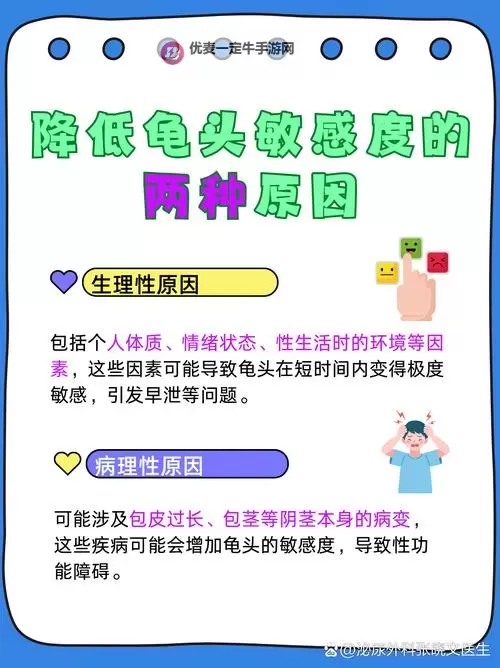 怎么提高龟灵敏度：从感知训练到环境适应的综合指南图1