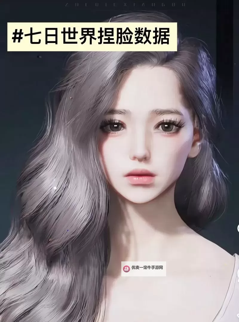 《七日世界》机械姬姐姐捏脸数据展示图2