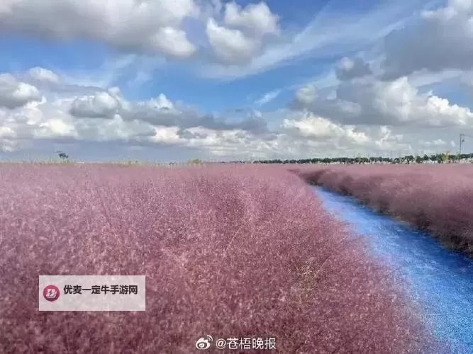 镜花奇缘电脑版下载 电脑玩镜花奇缘模拟器推荐图1