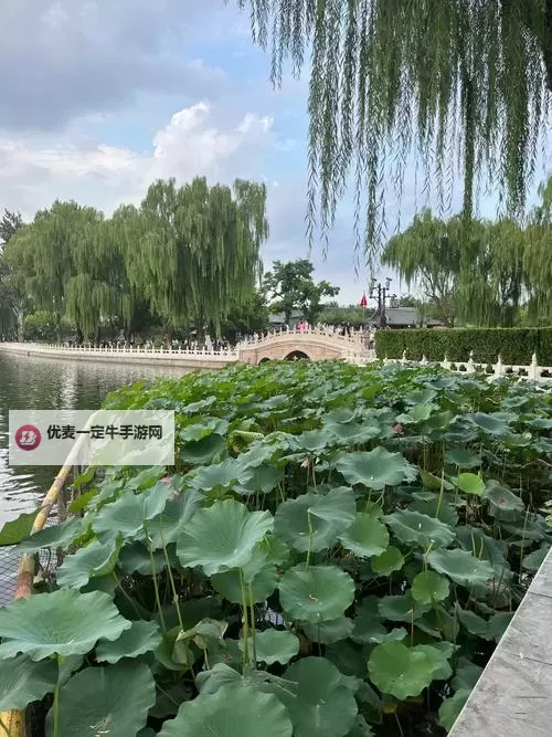 无码逃离1区22：废墟之城的遗失序曲图1