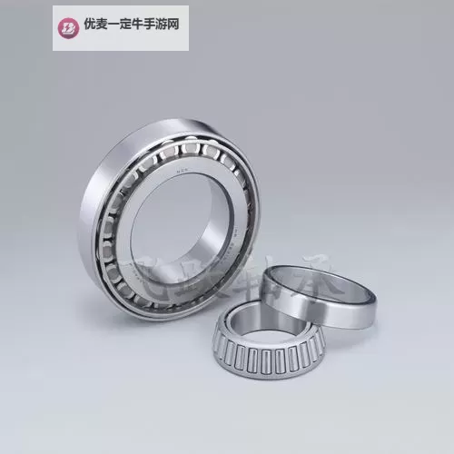 日本ⅹxⅹx：樱花雨中的回忆与谜语图1