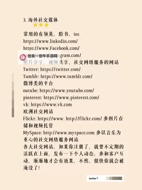 网站你懂我：在算法与心跳之间寻得共鸣的故事图1