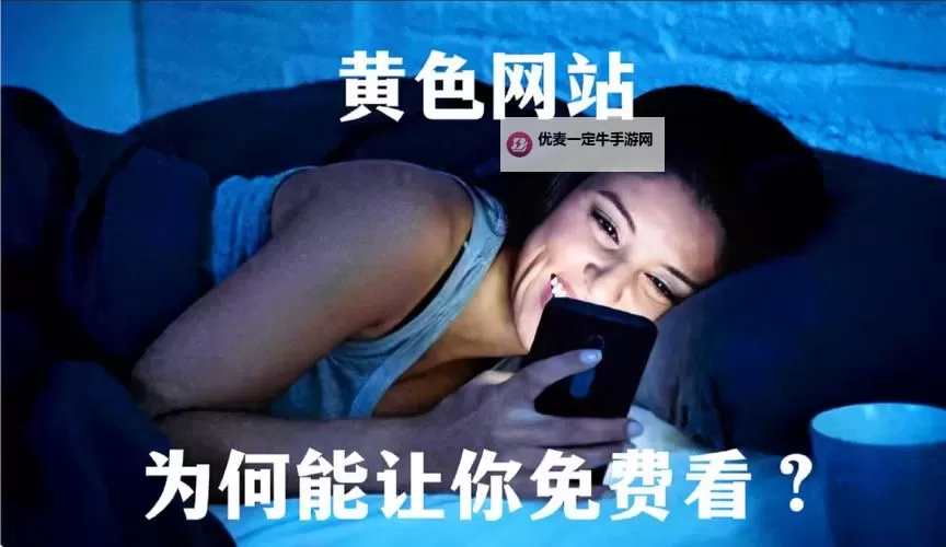 无毒免费成人网：守护隐私的安全上网新选择图1