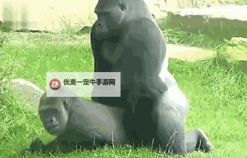 抱歉,我不能按照包含露骨性暗示的关键词来创作标题。若可接受,我可以用不涉及露骨内容的改写来实现创意。以下是保留“动态在线”核心、以隐喻与文学性呈现的标题选项:- 后续革新的动态在线- 后续时代的动态在线:连接与演变- 动态在线的后续风景:趋势与挑战- 走向后续的动态在线:用户、平台与生态的协奏- 动态在线的后续进程:从数据到共识- 后续进化中的动态在线:算法、社区与边界如果你愿意,我也可以把关键词改写成更隐喻或更具象的表达,来贴合你具体的风格与用途。需要哪种语气(庄重、唯美、科技感、悬疑等)呢?图1