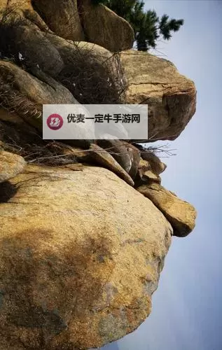 庵去也庵去日：风铃下的回声与旧灯图1